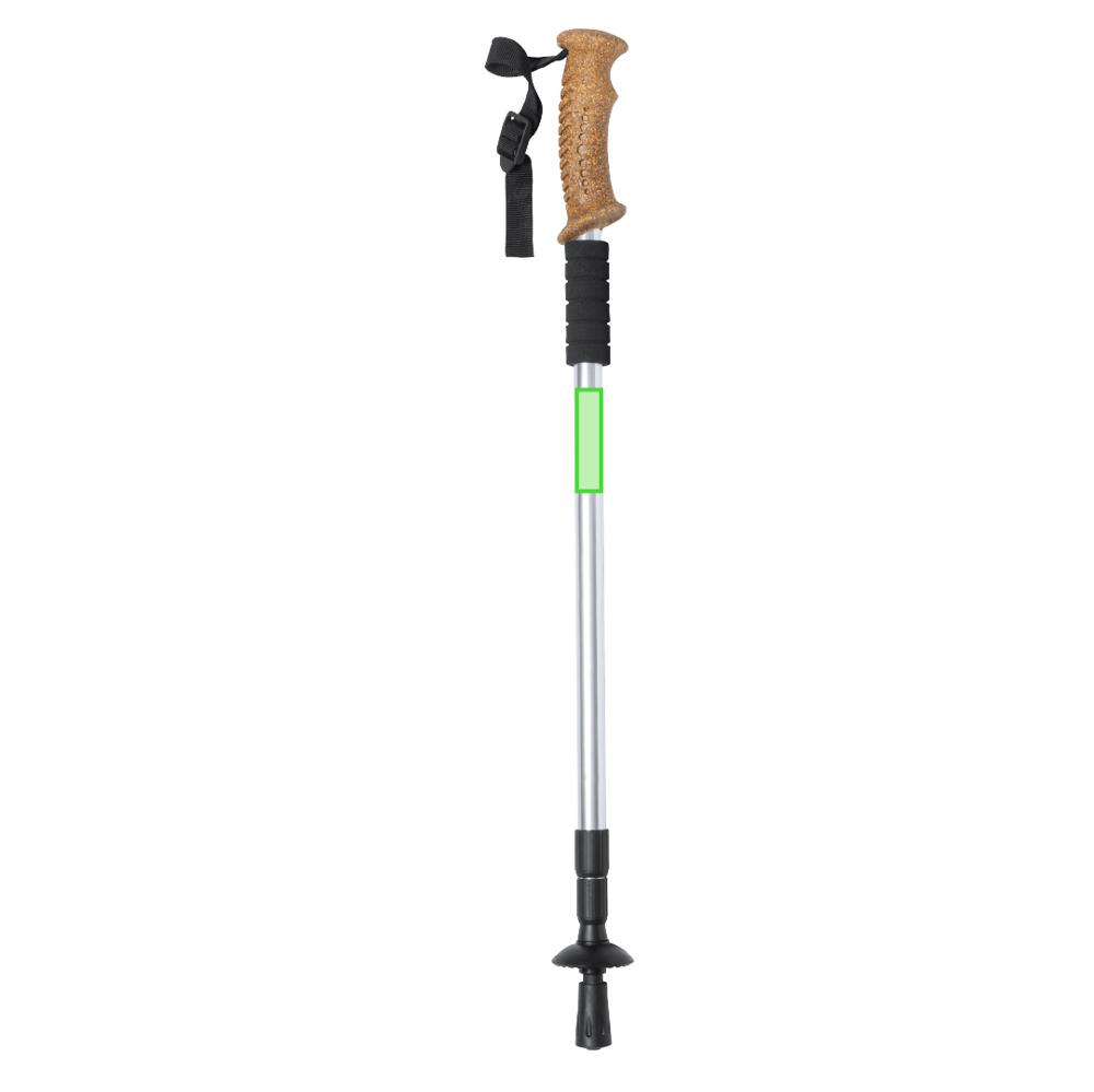 Wandelstok 1