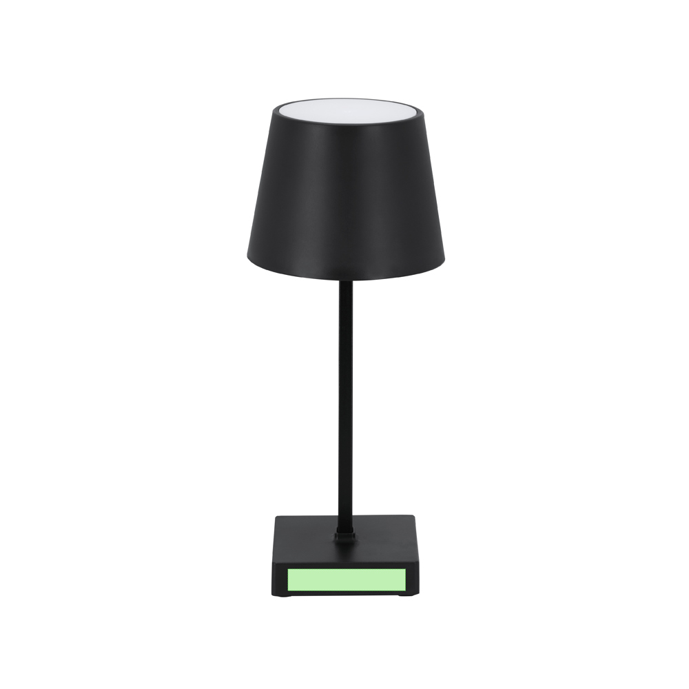 Area 4