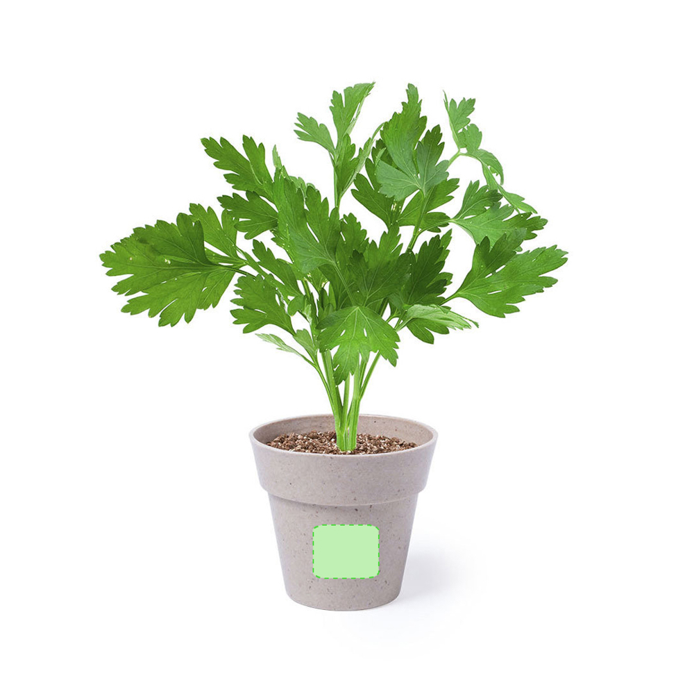 Bloempot 2