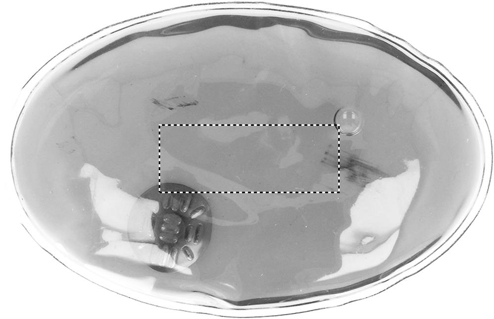 FRONT (max 40 x 15 mm)