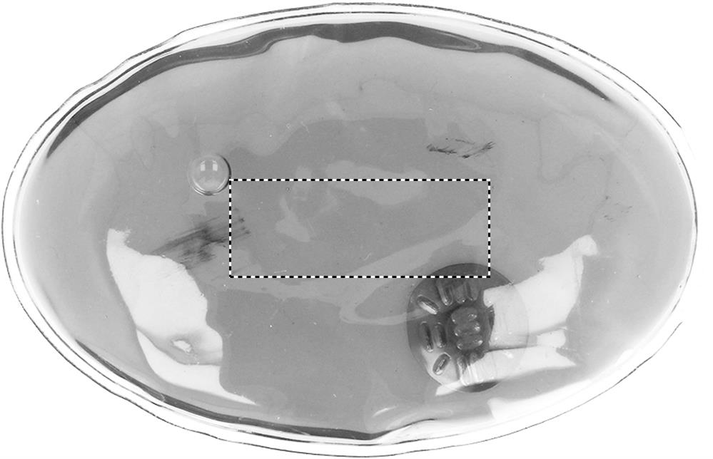 BACK (max 40 x 15 mm)