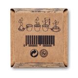 MINT KIT - Muntzaad kweekset
