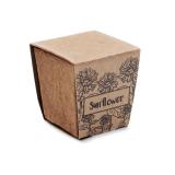 SUNFLOWER KIT - Zonnebloem kweekset