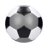 Voetbalkampioen - 
