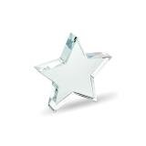 STARWARD - Glazen ster award