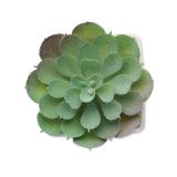 ARTIECHE - Mini kunstplant