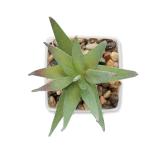 ARTILOE - Mini kunstplant