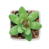 ARTIGRAP - Mini kunstplant