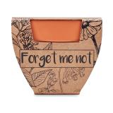 FORGET ME NOT - Potje Vergeet-me-nietjes