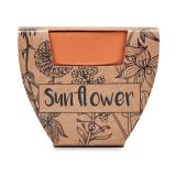 SUNFLOWER - Potje Zonnebloem