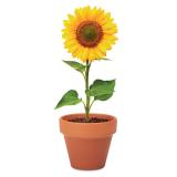 SUNFLOWER - Potje Zonnebloem