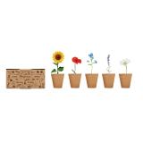 FLOWERS - Bloemen kweekset