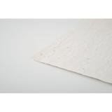 ASIDO - A6 zaadpapier wilde bloemen