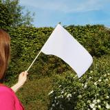 Vlag "Hout"