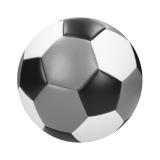 Voetbalkampioen