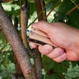 Multitool "Hout", klein