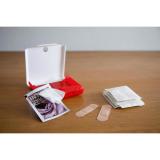 Reisbox "Eerste Hulp"