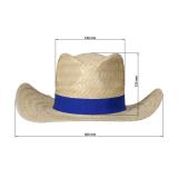 Strohoed "Texas"