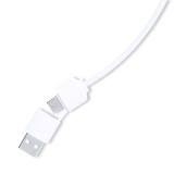 USB Hub Lasiar