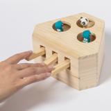 Spel voor Dieren Kesel