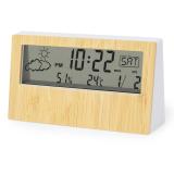 Weerstation Roamer
