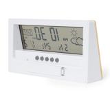 Weerstation Roamer