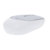 Muis Doryt RCS