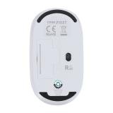 Muis Doryt RCS