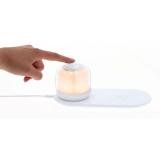 Oplader Lamp Reginal