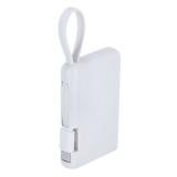 Power Bank Brandin