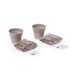 Bloempot Set Nertel