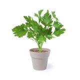 Bloempot Set Nertel