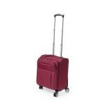 Trolley Zoidel
