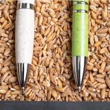 Pen Prodox